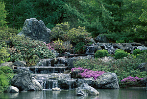 Botanical Garden